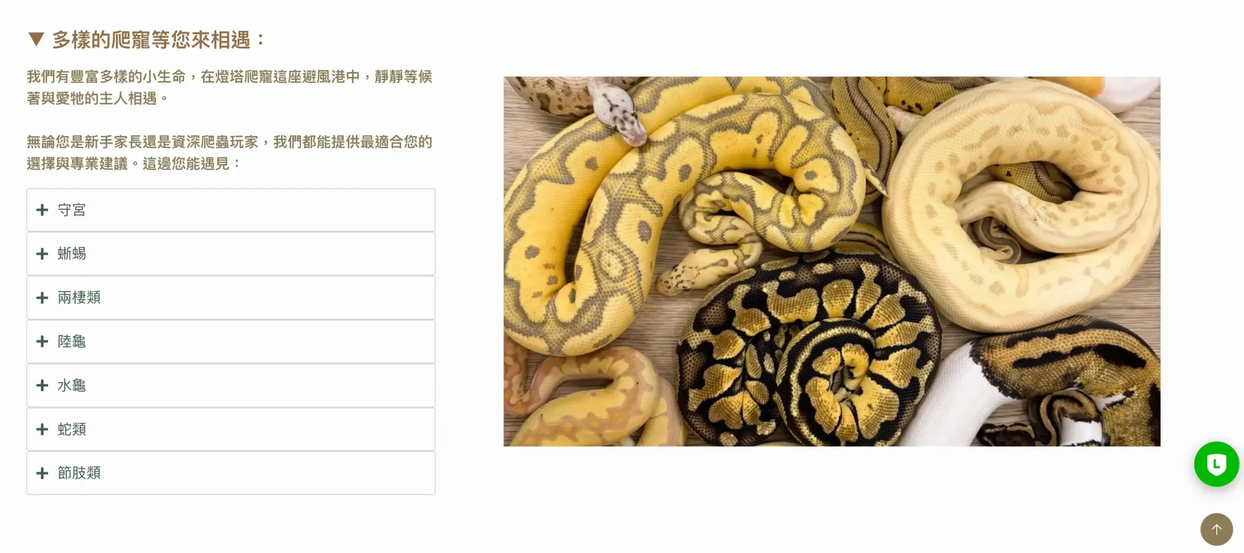 燈塔爬寵LIGHTHOUSE品牌官方網站 良森打造合作cases:燈塔爬寵lighthouse,service頁面總覽