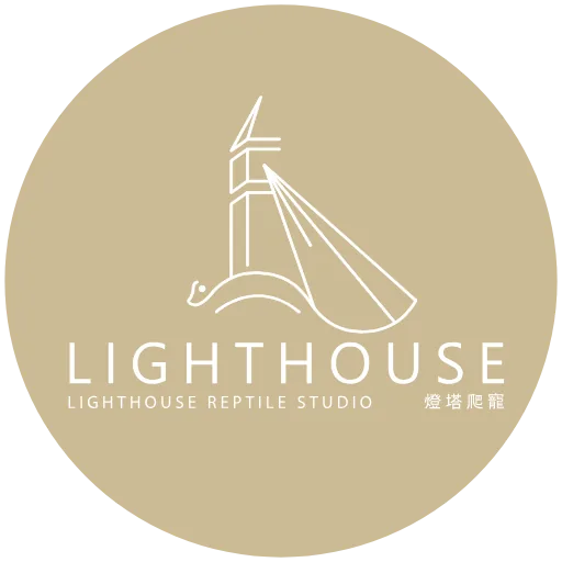 燈塔爬寵LIGHTHOUSE品牌官方網站