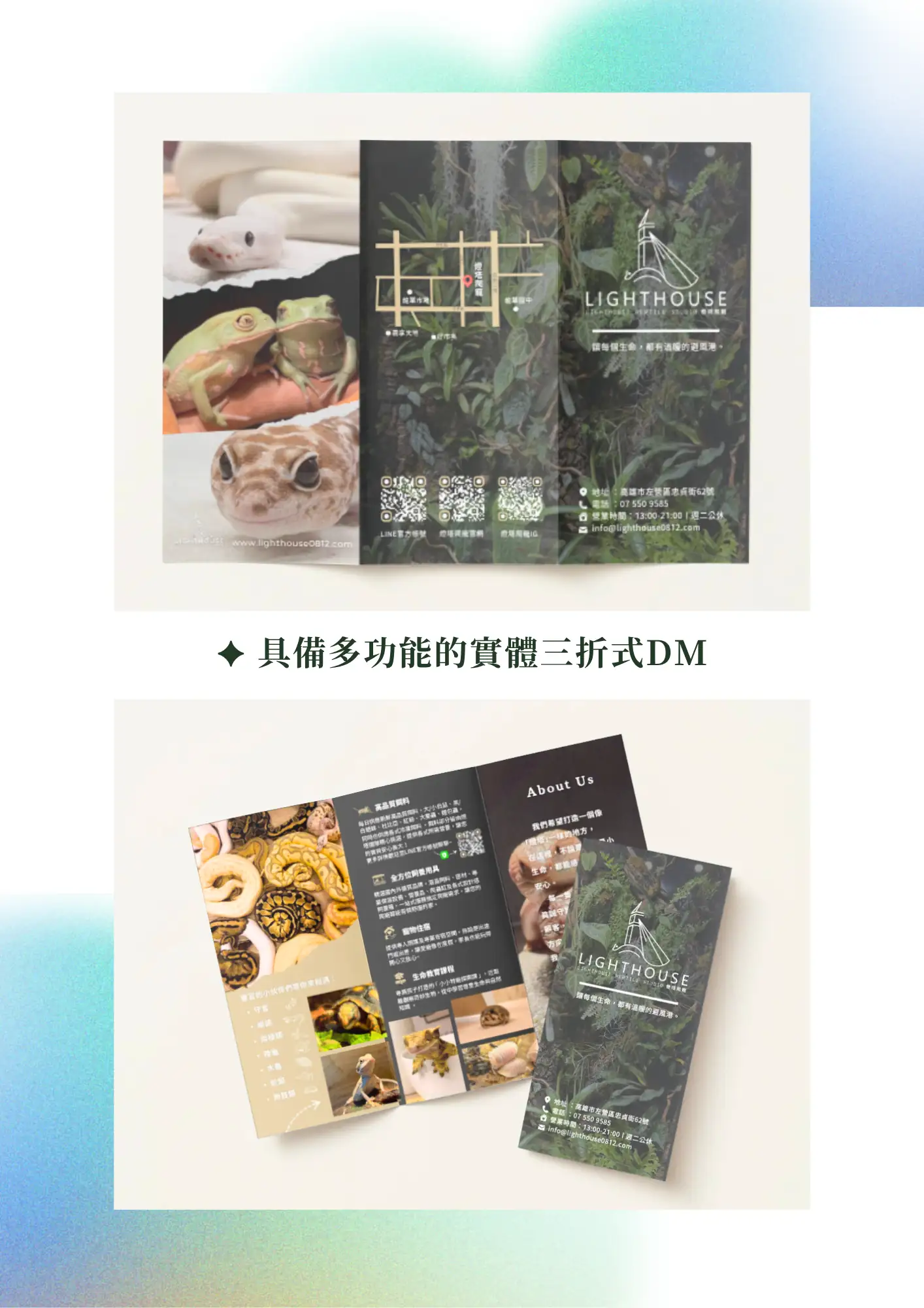 燈塔爬寵LIGHTHOUSE品牌官方網站 良森打造合作案例:燈塔爬寵商業圖像設計 三折式dm